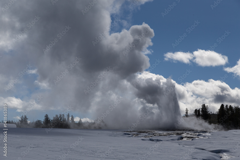 Old Faithful, The famous geyser attraction in Yellowstone known for its hot-water eruptions on a consistent schedule