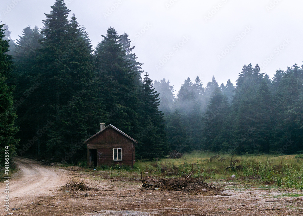 cottage in the forest