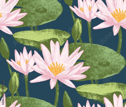 Seamless pattern with water lily flowers