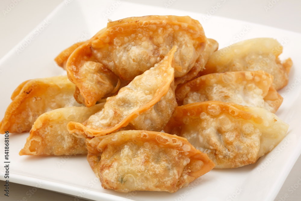 揚げ餃子 揚げ餃子