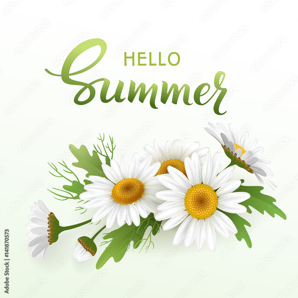 Hello Summer handmade lettering and bouquet realistic daisy, camomile flowers on white background. Vector illustration card Hello Summer handmade lettering and bouquet realistic daisy, camomile flowers on white background. Vector illustration card