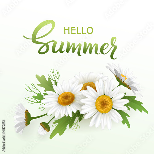 Hello Summer handmade lettering and bouquet realistic daisy, camomile flowers on white background. Vector illustration card