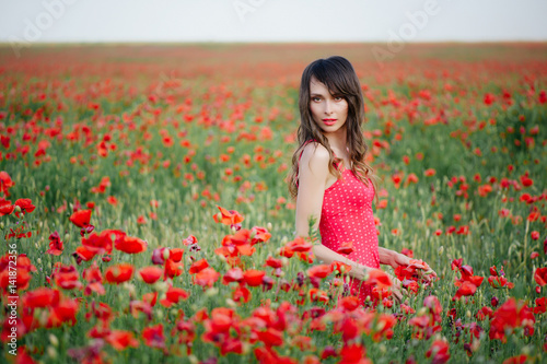 beautiful woman in poppy field