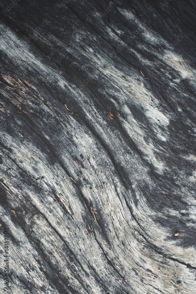 Wood background Wood background