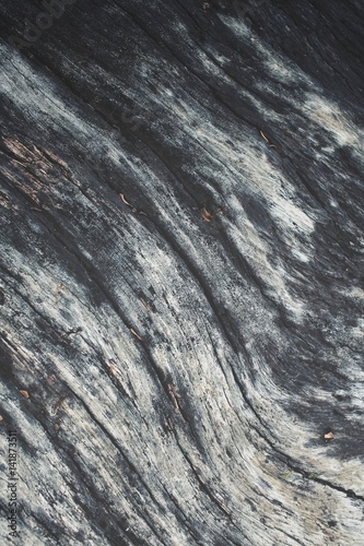Wood background