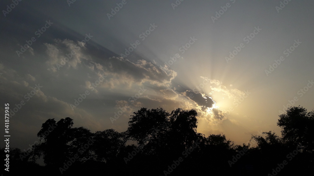 Sunray Sunray
