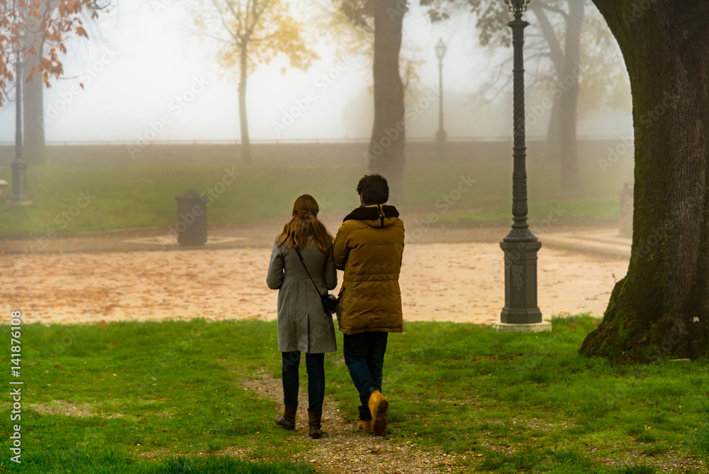 Fototapeta premium autumn park with fog and trees