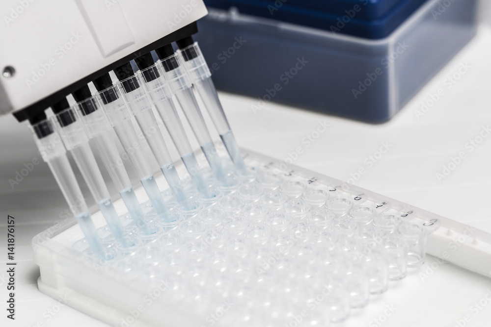 Pipette depositing samples into a 96 well micro-plate