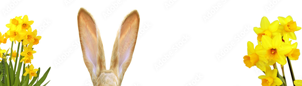 Fototapeta premium Frohe Ostern!