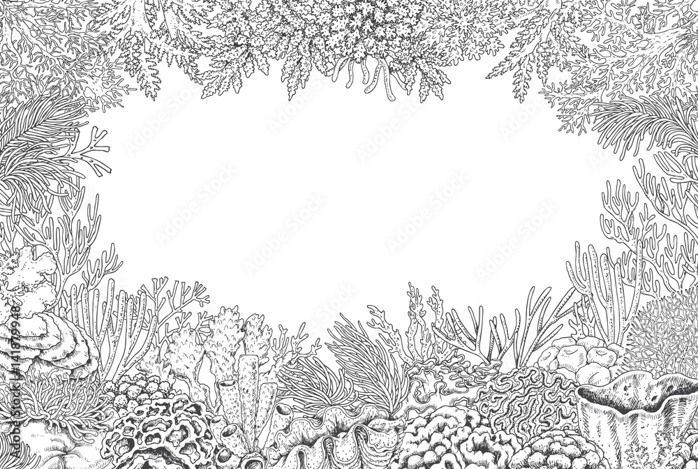 Naklejka premium Underwater Background with Corals
