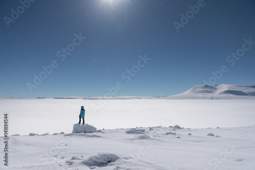 Person looks at moonlit arctic landscape 