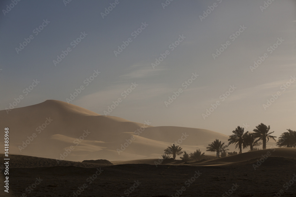 Naklejka premium palmiers dans le désert et dunes de sable