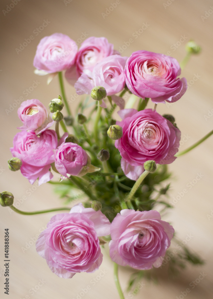 Pink ranunculus flower bouquet on a wooden background