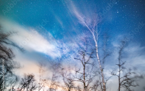Winter starry sky through trees