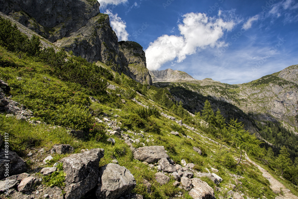 Alpine Landscape at Muehlbach am Hochkoenig in Summer