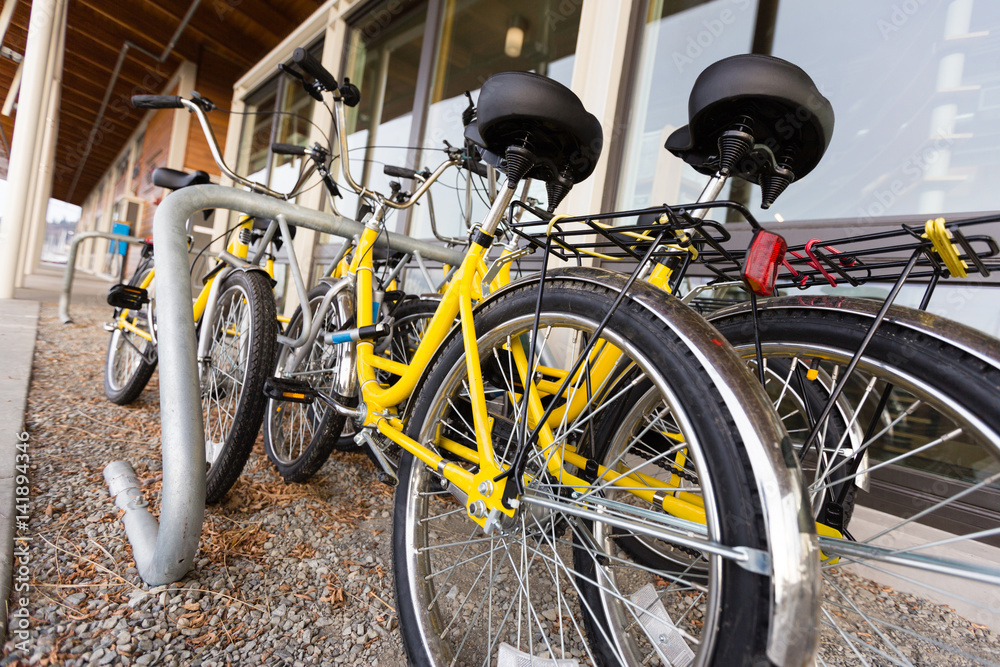 Bicycles Bicycles