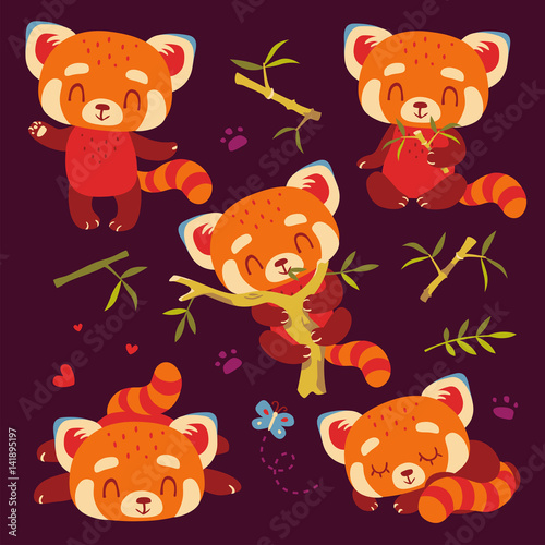 Fototapeta Naklejka Na Ścianę i Meble -  vector cartoon red panda set
