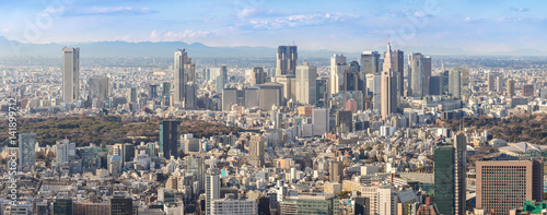 Tokyo Shinjuku skylines