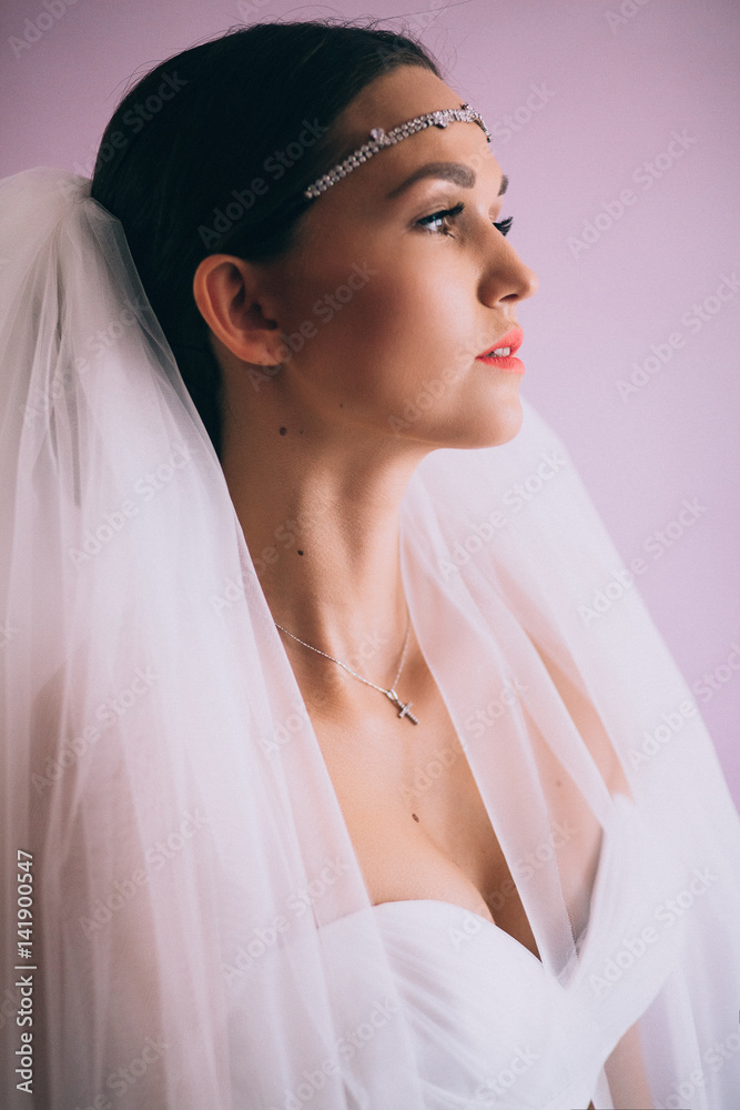 Beautiful bride with fashion wedding hairstyle. Closeup portrait of young gorgeous bride. Beautiful bride with fashion wedding hairstyle. Closeup portrait of young gorgeous bride.
