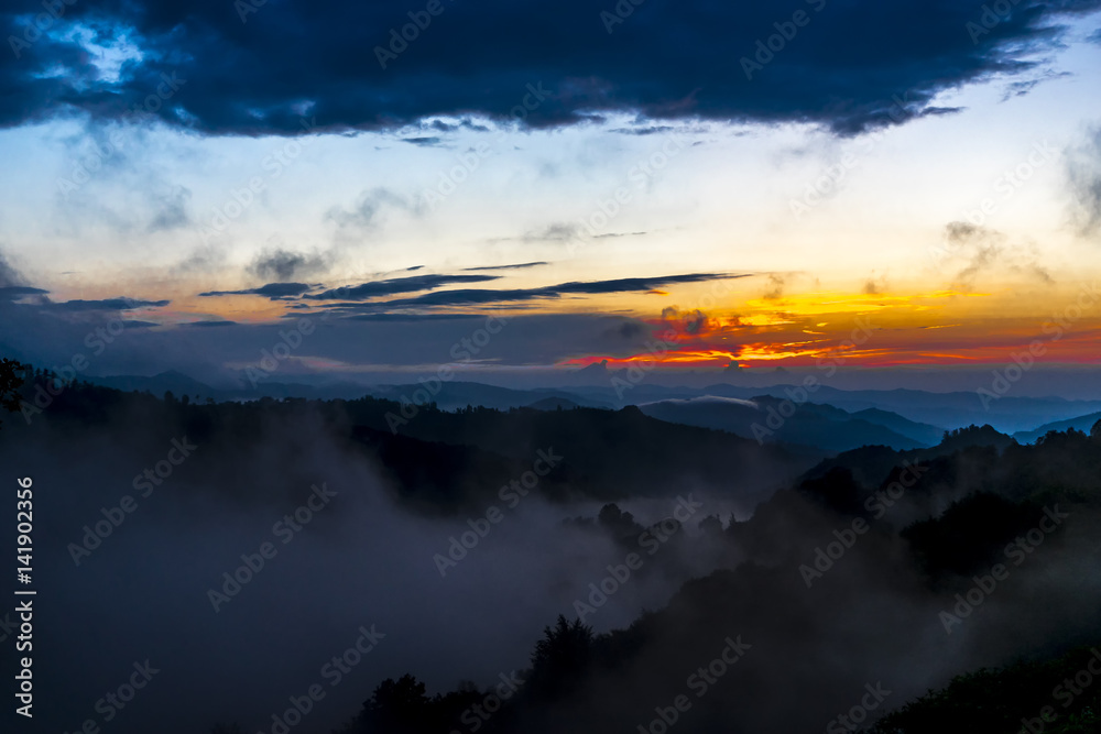 Dark Silhouettes of Trees and Amazing Cloudy Sky on Sunset at Black Sea Turkey Dark Silhouettes of Trees and Amazing Cloudy Sky on Sunset at Black Sea Turkey