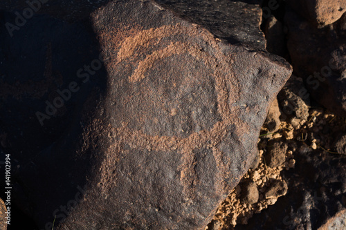 Oryx rockart photo