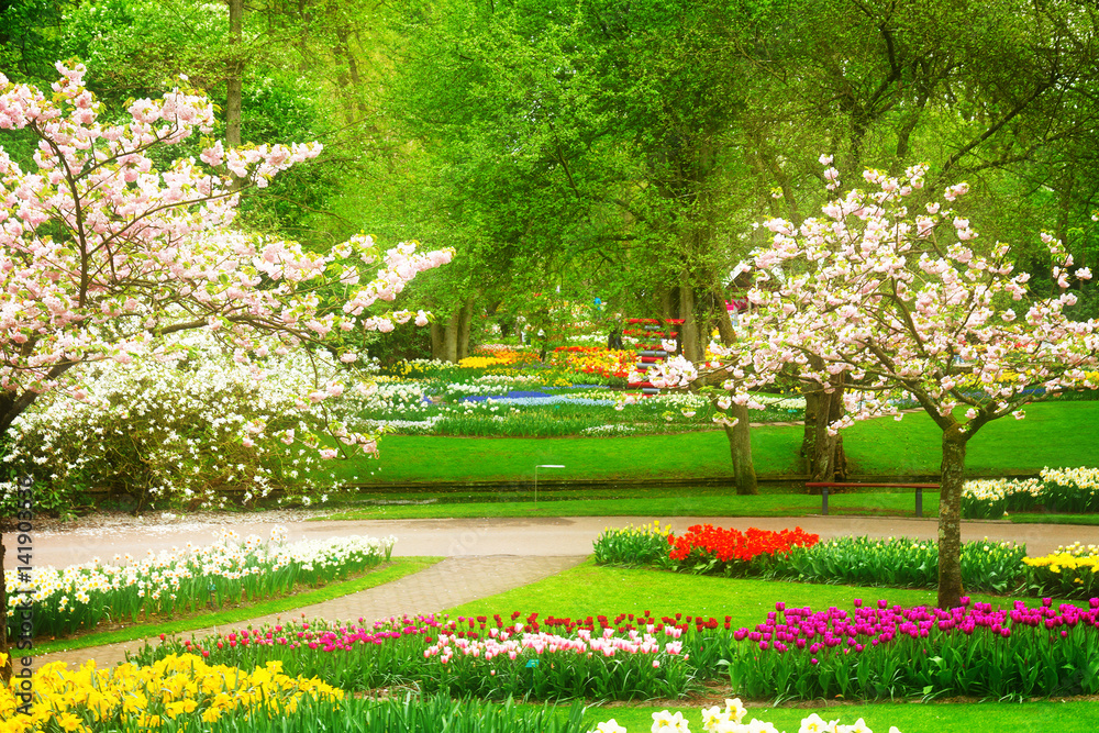 Blooming spring trees with tulips and daffodils in holland park Keukenhof, Netherlands, retro toned Blooming spring trees with tulips and daffodils in holland park Keukenhof, Netherlands, retro toned
