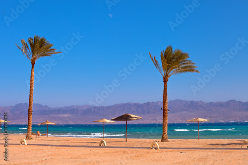 Wakacje w Egipcie. Plaża nad morzem czerwonym i palmy