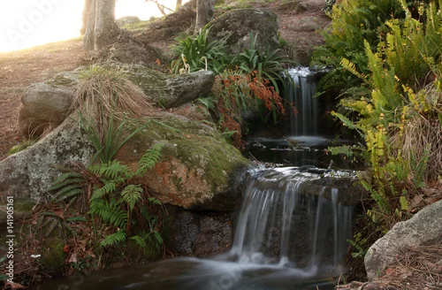 Obraz mały wodospad świeżej i czystej wody w lesie w górach miasta Vigo w Galicji