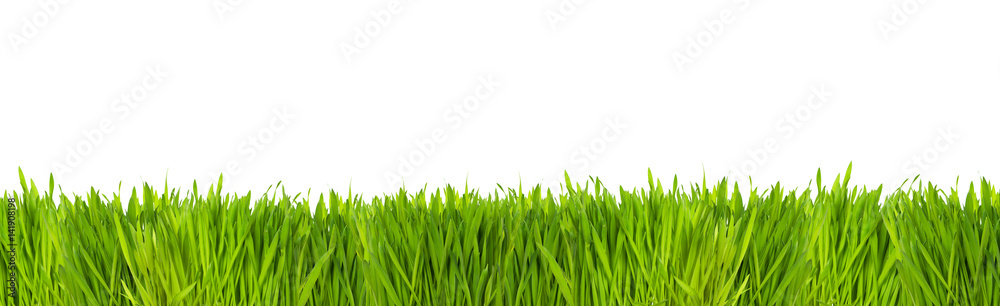 Grüne Wiese Grüne Wiese