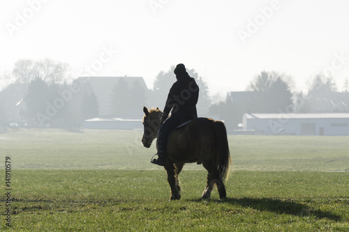 Rider on a Brown Horse on a Misty Morning near the Rural Village.
