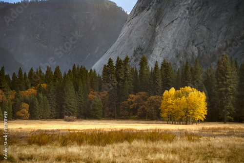 Yosemite National Park photo