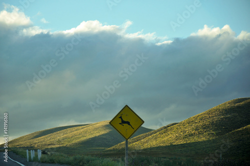 Neuquen province road © Dario Ricardo