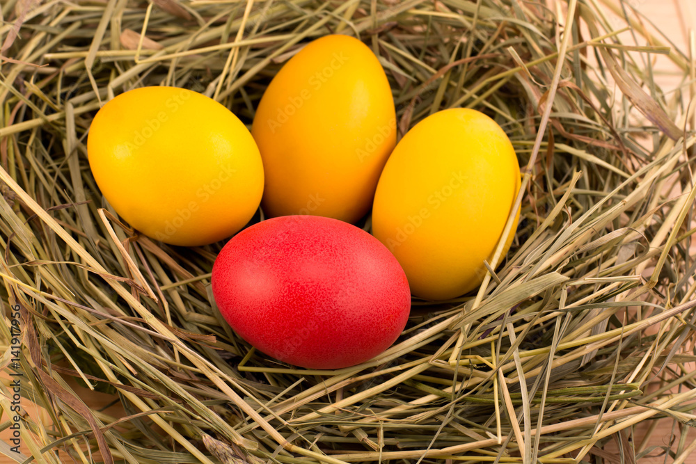 Easter eggs in the nest Easter eggs in the nest