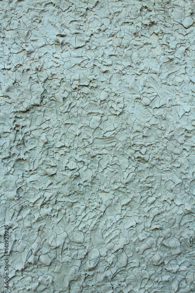  Patterned cement surface.