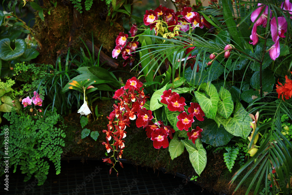 Naklejka premium red flowers