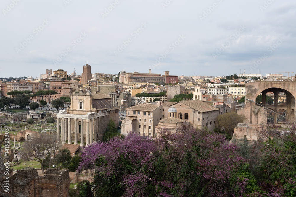 Rome Overview