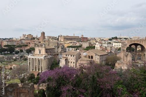 Rome Overview