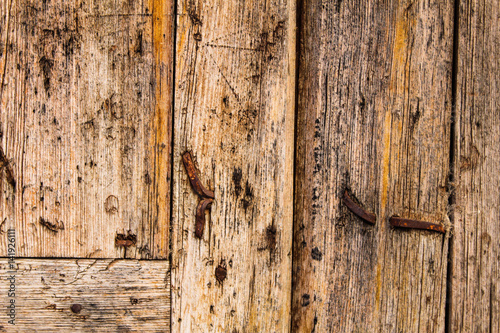 Anciient Wood Background