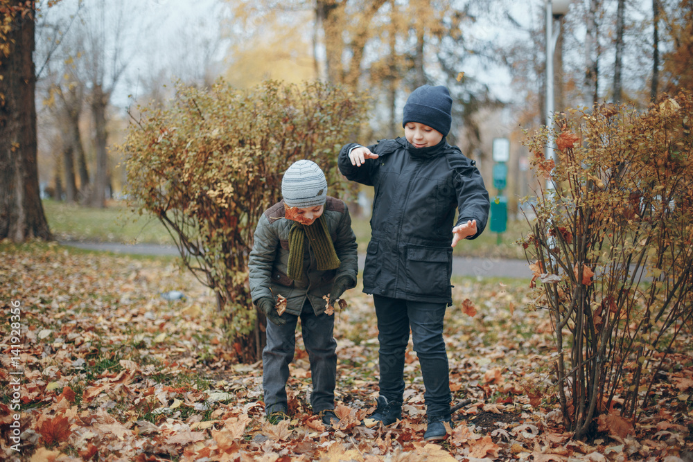 brothers in a park