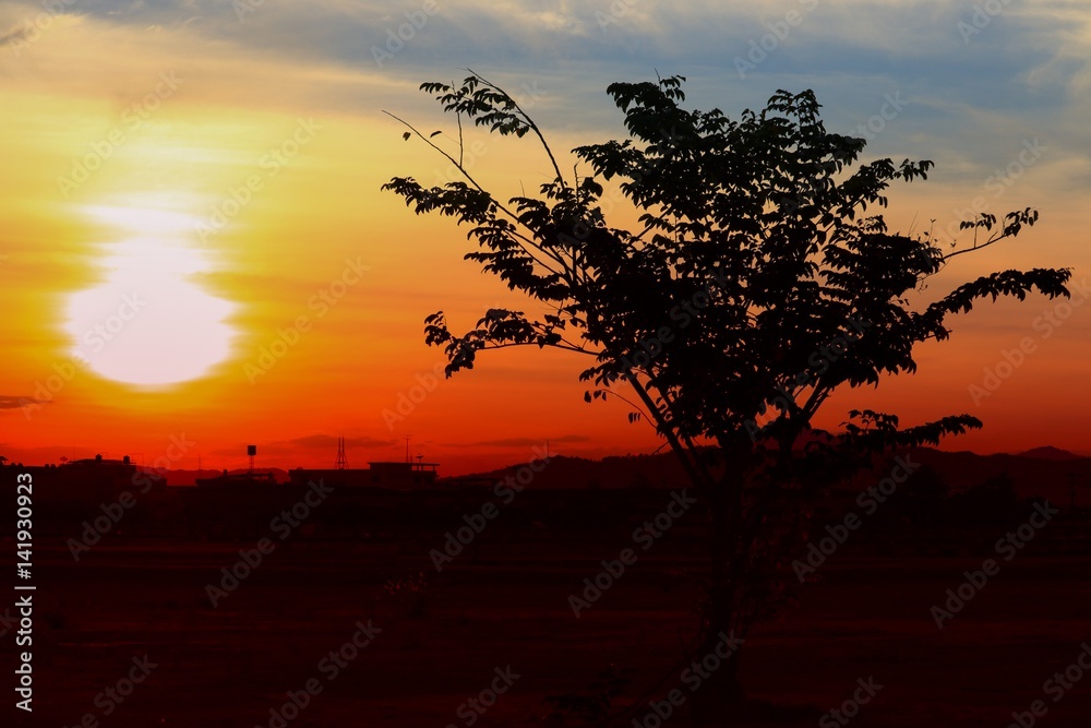 sunset beautiful colorful landscape in blue sky evening nature twilight time and silhouette tree