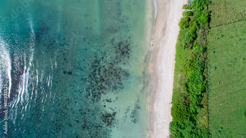 Tropical beach with sea and palm taken from drone.