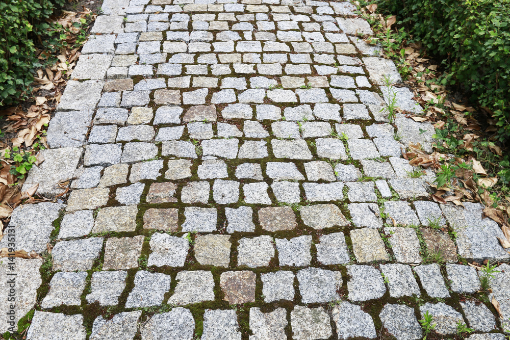 Cobbled path in the garden.
