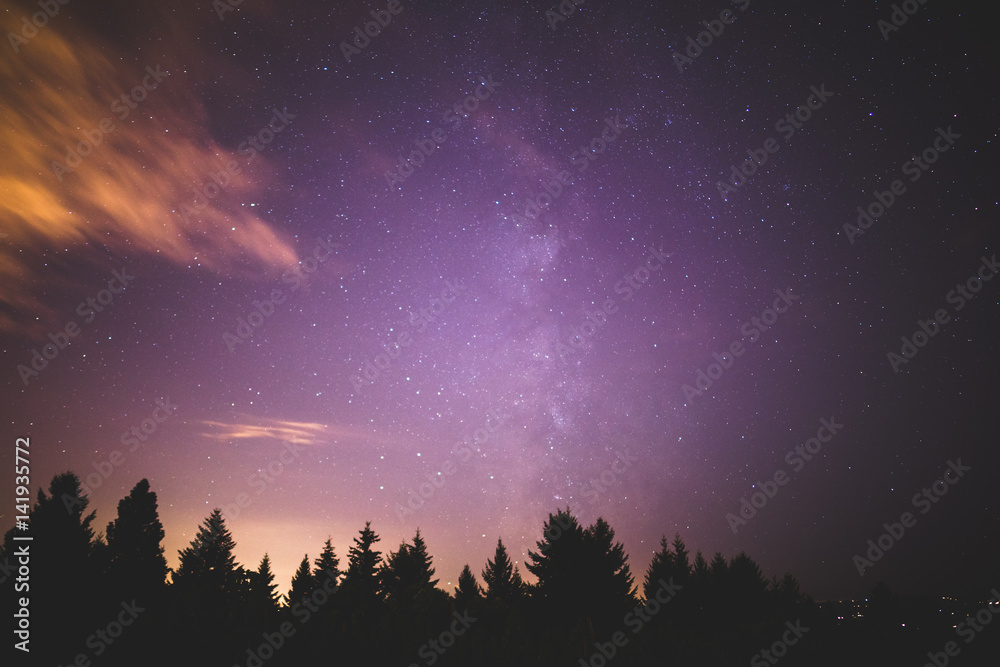 Milky Way Above Forest Trees