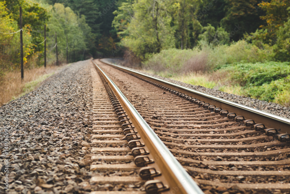 Fototapeta premium Train Tracks in Beautiful, Lush Forest
