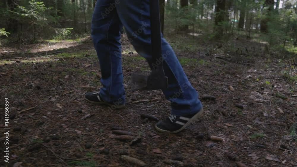 The logger walks with an ax in the woods and chooses trees The logger walks with an ax in the woods and chooses trees