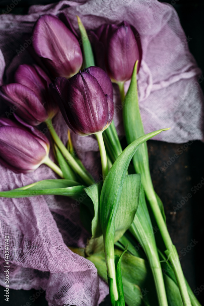 Tulips background. Design for your post card Tulips background. Design for your post card