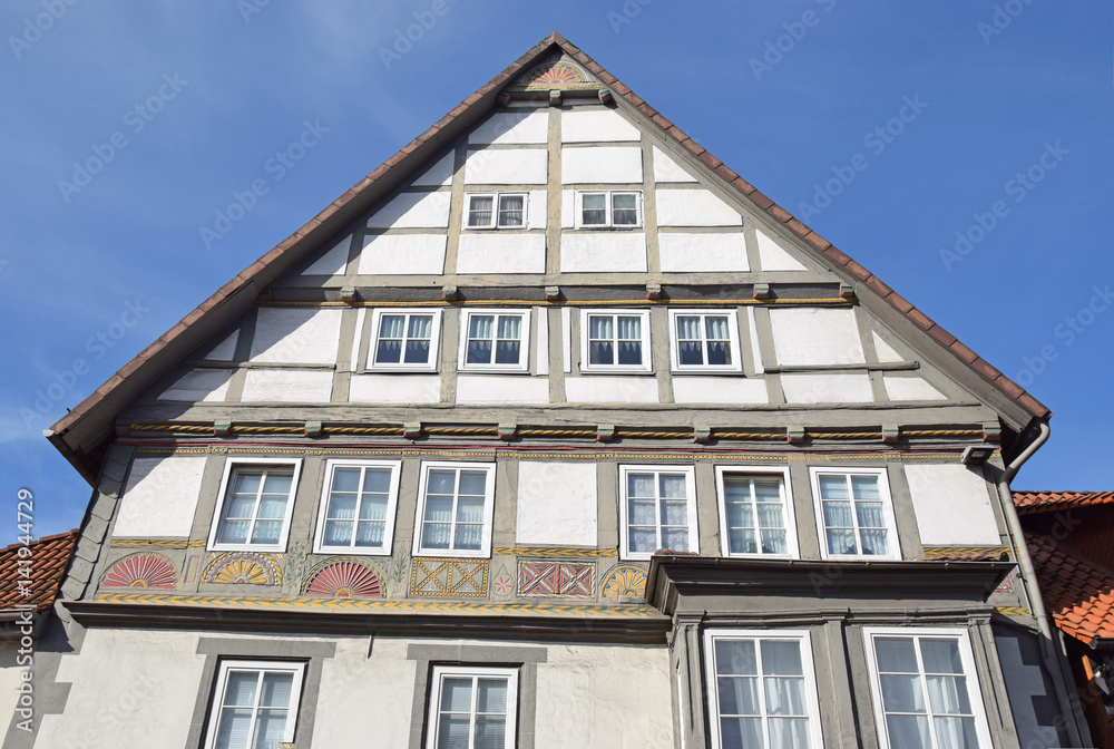 Fototapeta premium Renaissancefachwerk in Hameln