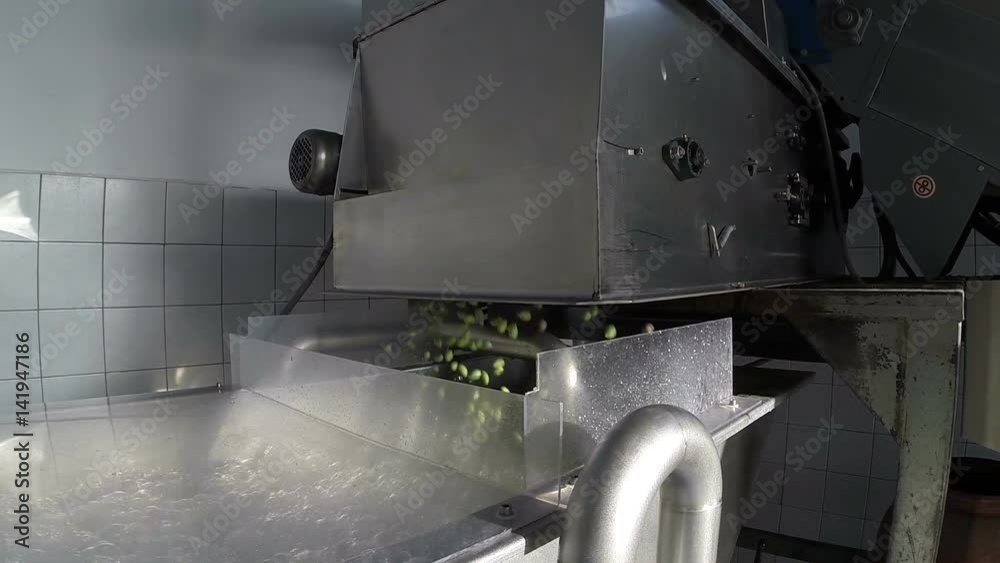 The process of olive washing in a modern oil mill The process of olive washing in a modern oil mill