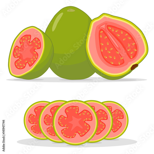 Vector illustration logo for whole ripe fruit red guava,cut half sliced amrood,background.Guava drawing consisting of tag label,natural sweet food amrud.Eat fresh raw organic exotic fruits guaves.