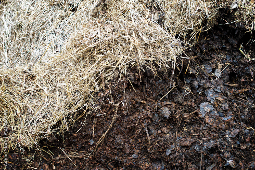 Compost soil, Organic plant fertilizer : closeup Compost soil, Organic plant fertilizer : closeup
